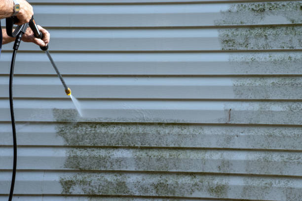 Professional Junk Removal in Surfside, FL